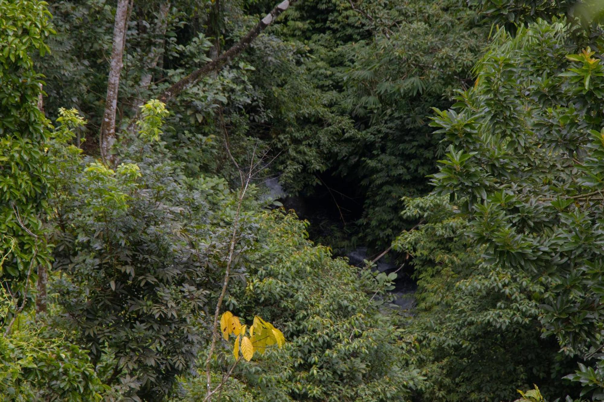 Goa Walet Cottage Praya Esterno foto