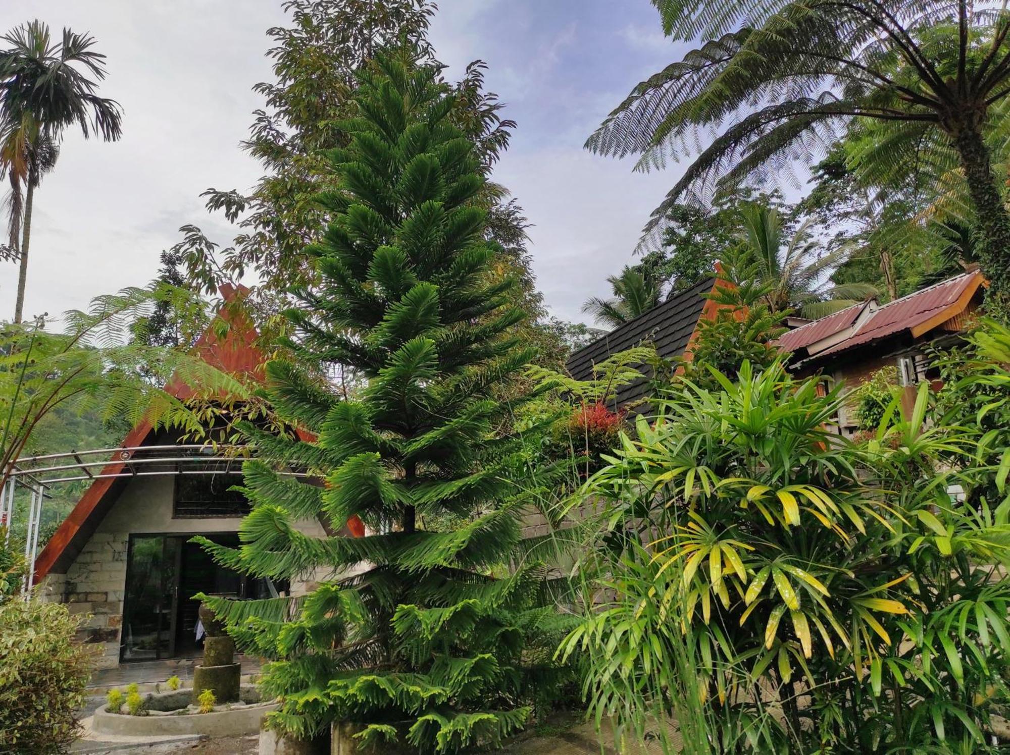 Goa Walet Cottage Praya Esterno foto