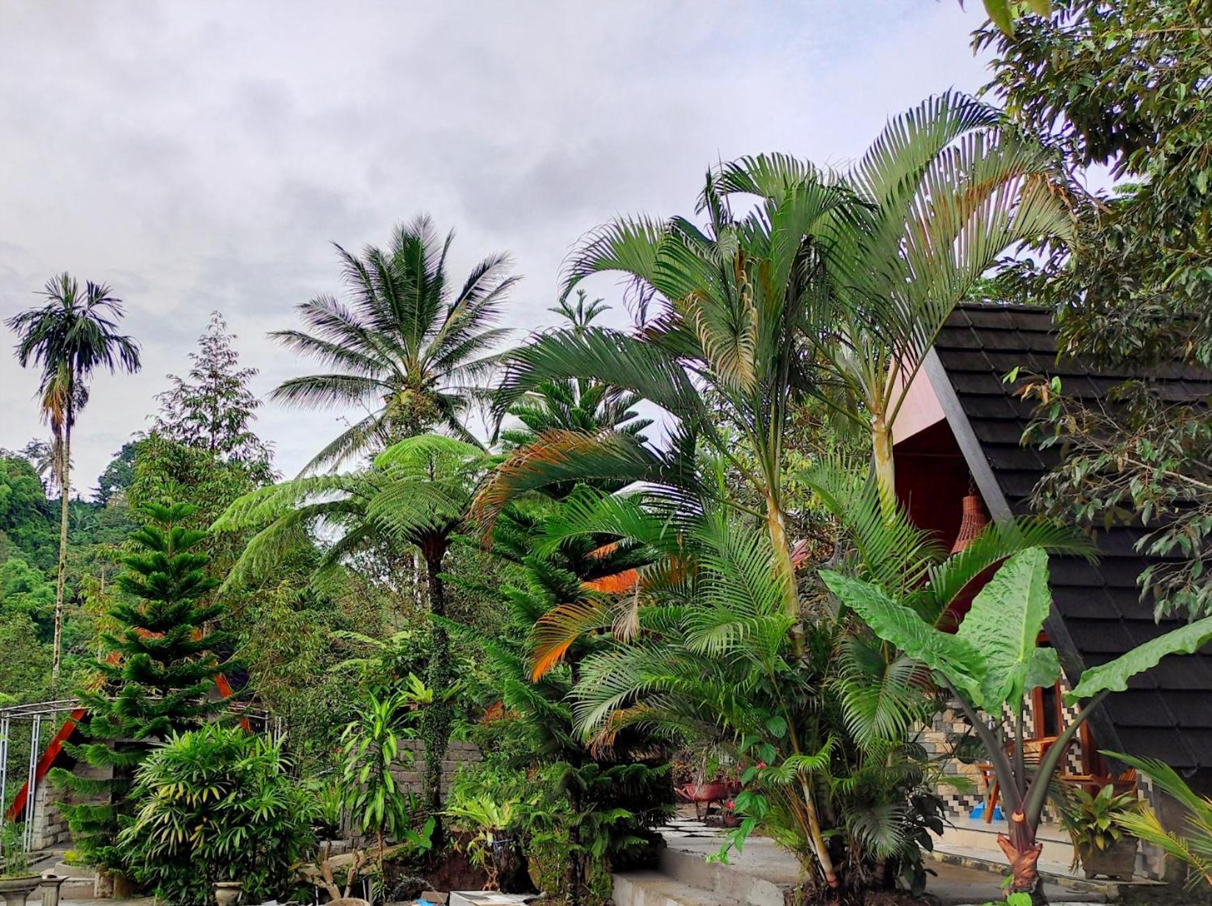 Goa Walet Cottage Praya Esterno foto